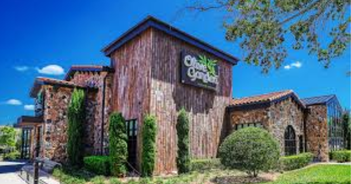 Come On In: Say Hello to Olive Garden's Sister Restaurants as New Locations Officially Open in 2026